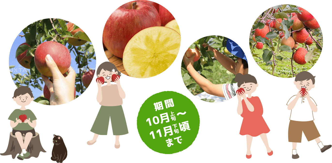 期間10月上旬～11月下旬まで